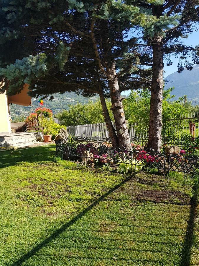 شقة Casa Di Tia أَويستا المظهر الخارجي الصورة